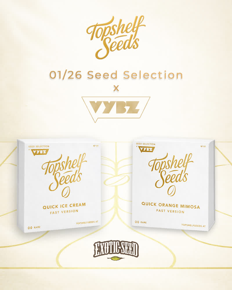 Top Shelf Seeds x VYBZ